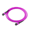 MPO Fiber optic patch cord OM3 OM4  Aqua / Violet  patch cord