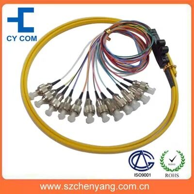 FC/SC/ST 12 Core Ribbon Packaging Glasvezel Pigtail