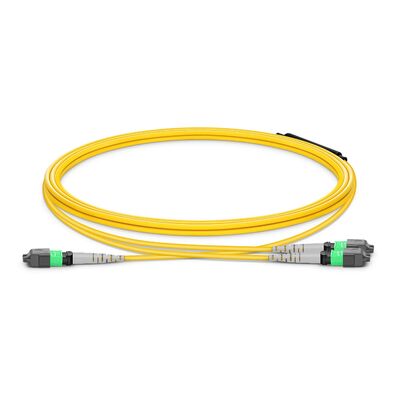 Kwaliteit MTP Breakout Cable met 8° APC Endface en G.657.A1 Buiggevoelige vezels voor OFNP-gegradeerde datacenterverbindingen voor brandveiligheid Fabriek