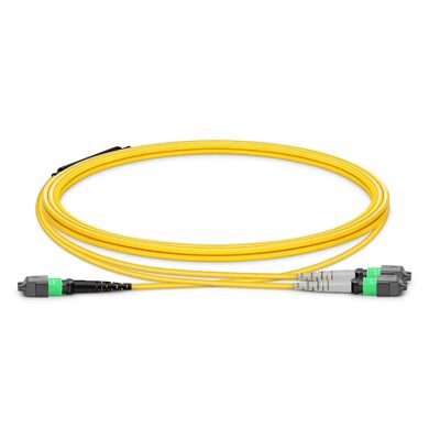 Kwaliteit MTP Breakout-kabel met 0,35dB Low IL en 8° APC-eindvlak voor OFNP brandveiligheidsgeclassificeerde datacentrumverbindingen Fabriek