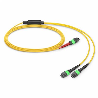 Kwaliteit MTP Breakout Cable met 0,35dB Low IL en G.657.A1 Buigingsgevoelige vezels voor OFNP-brandveiligheidsaanpassingen Fabriek