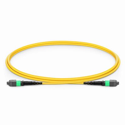 Kwaliteit MPO Jumper Cable met 0,35 dB Low IL voor 800G QSFP-DD Transceivers en G.657.A1 Bogen van ongevoelige vezels Fabriek
